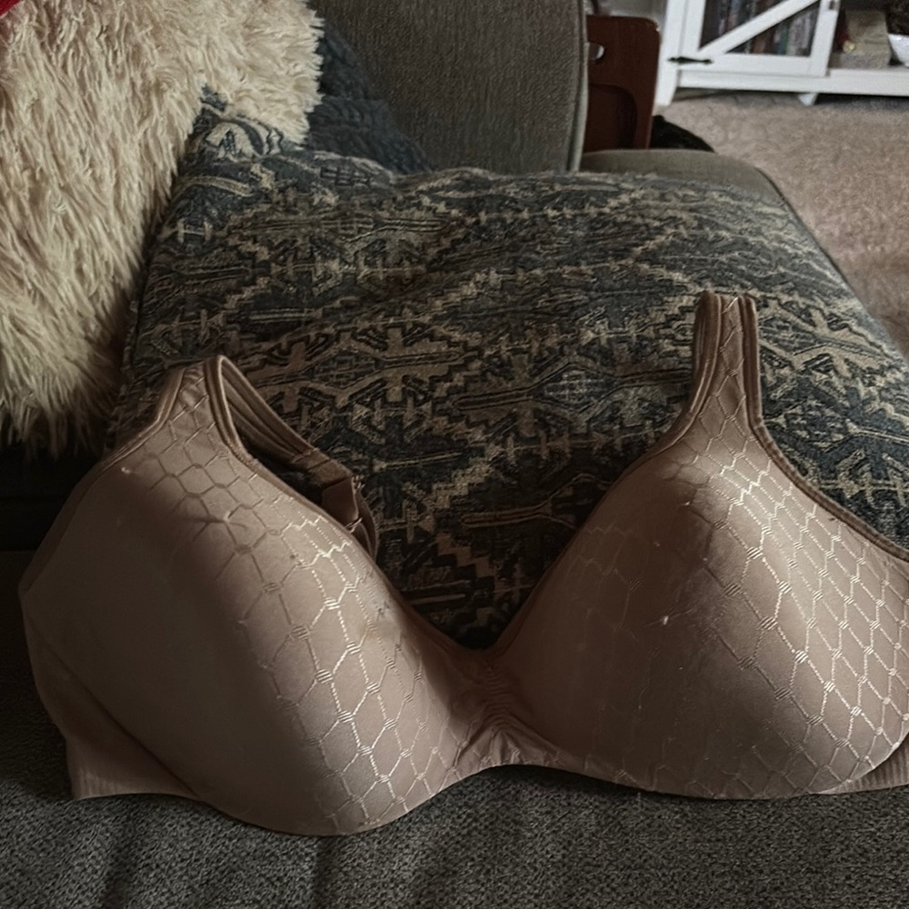Cream T-Shirt Bra with Molded Cups for Everyday Comfort